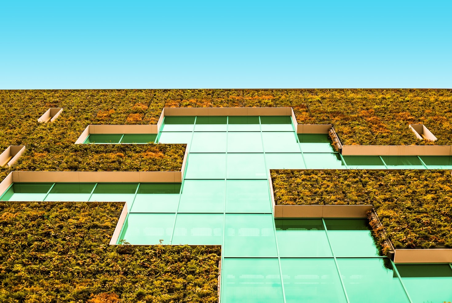 The Role of Communities in Urban Transformations
